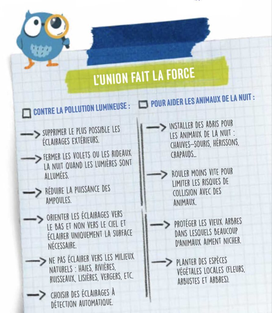 Les gestes chouettes à faire pour aider les animaux la nuit