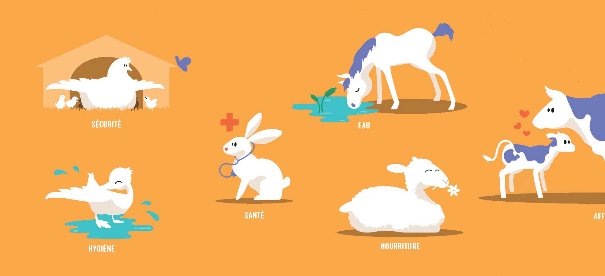 Activités à télécharger - Les besoins des animaux - L214 Education