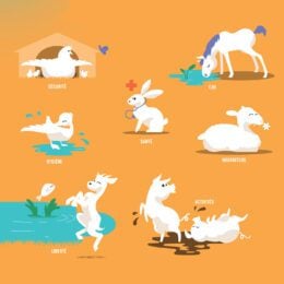 Activités à télécharger - Les besoins des animaux - L214 Education