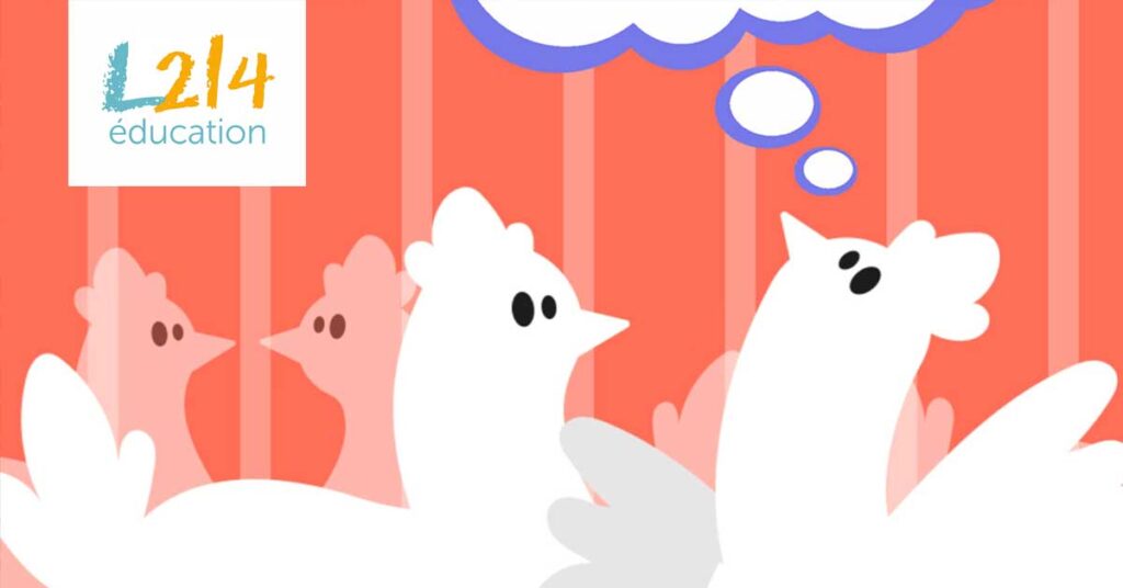 Activités en classe - Les rêves des animaux