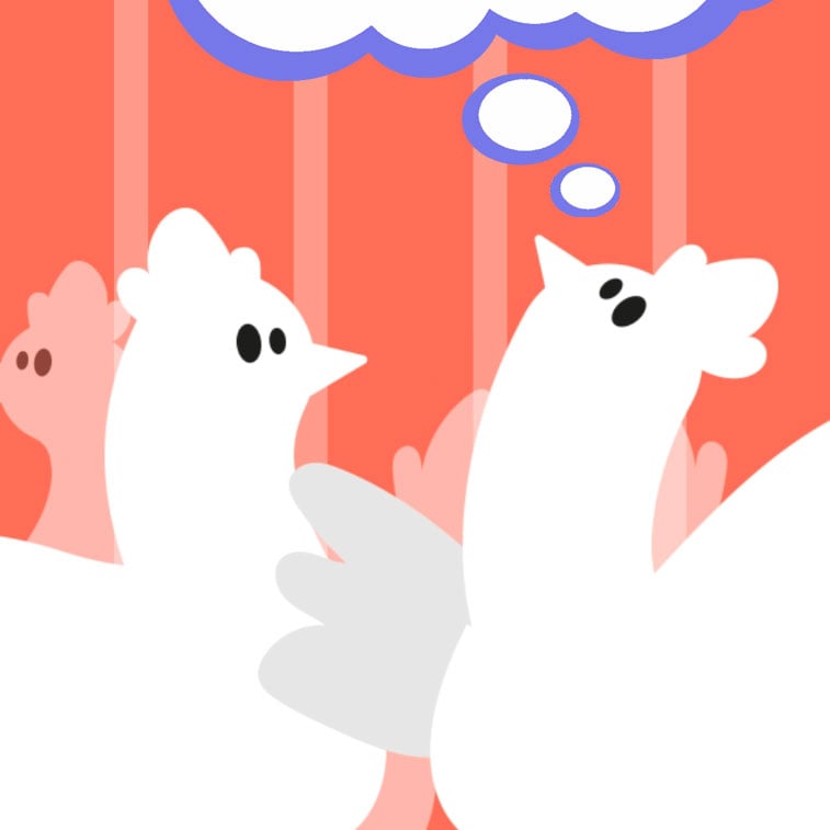 Activités en classe - Les rêves des animaux