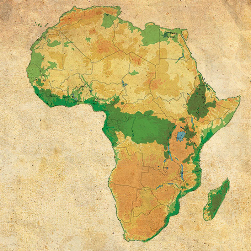 Carte d'Afrique avec la superficie des forêts