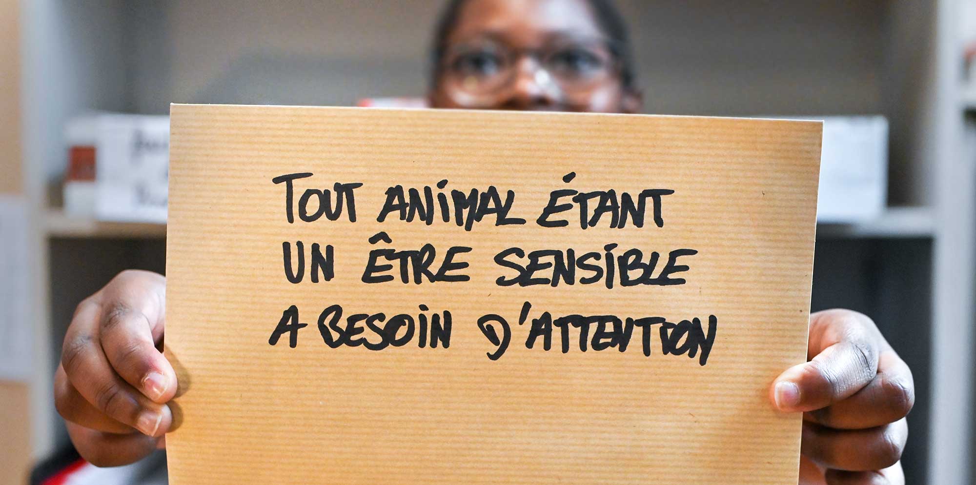 Tout animal a besoin d'attention