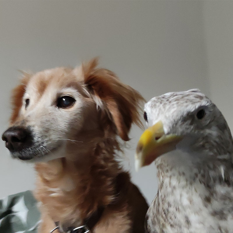 Portrait de Arek et d'Ambre ensemble