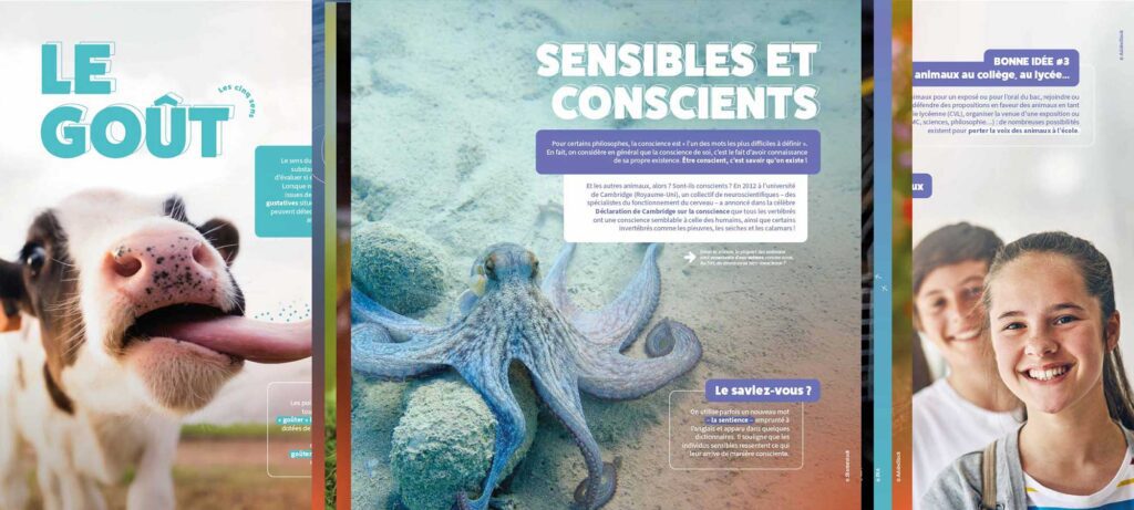 SENSIBLES / Exposition pédagogique gratuite / La sensibilité des animaux / Droits des animaux