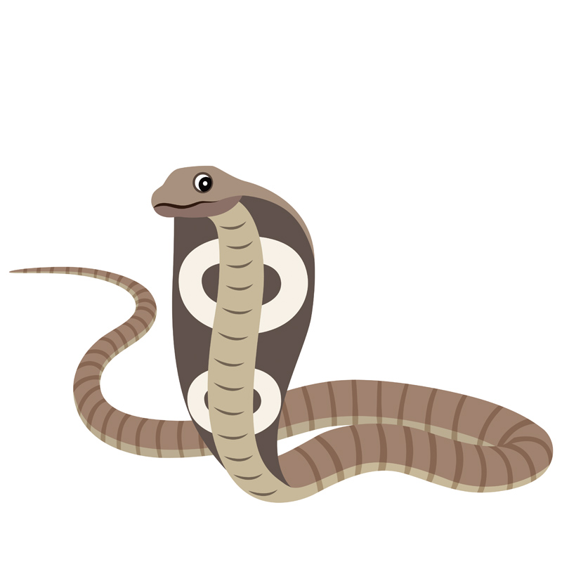 Dessin de gentil cobra