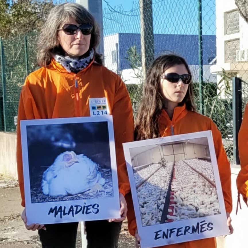 À 13 ans, Simon s’engage pour les cochons... et bien plus encore&nbsp;!