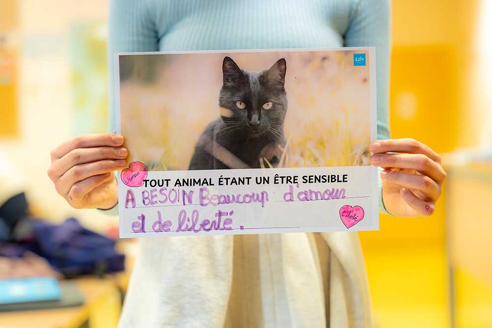Déclaration des droits des animaux sensibles