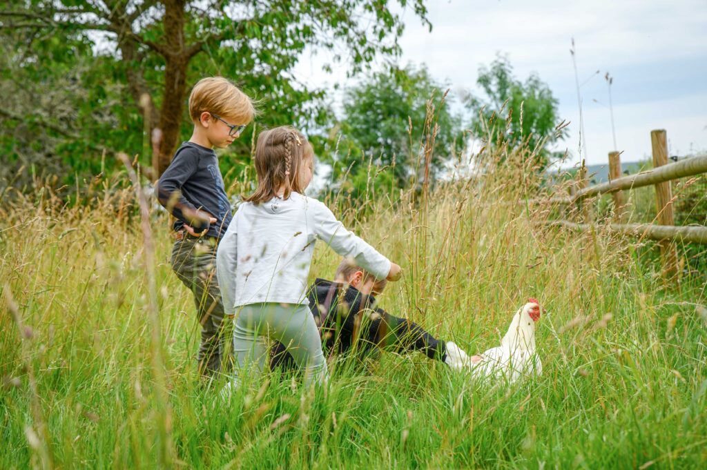 Poulets recueillis au refuge GroinGroin / Sarthe / Photo D. Hofbauer