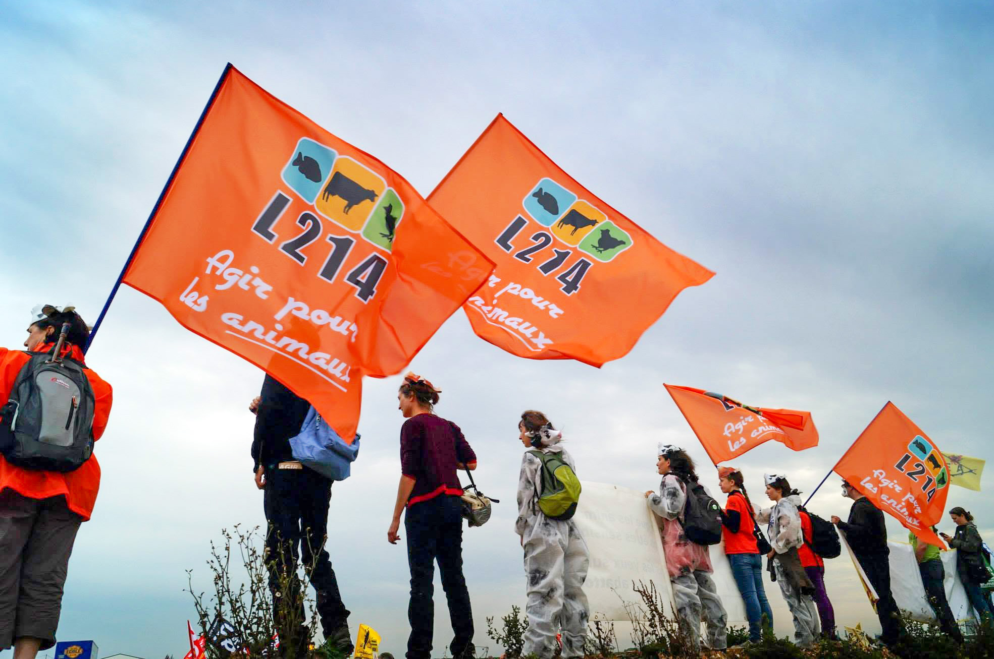L214 à la manifestation contre le projet de Ferme des 1000 vaches (2013). Photo D. Hofbauer