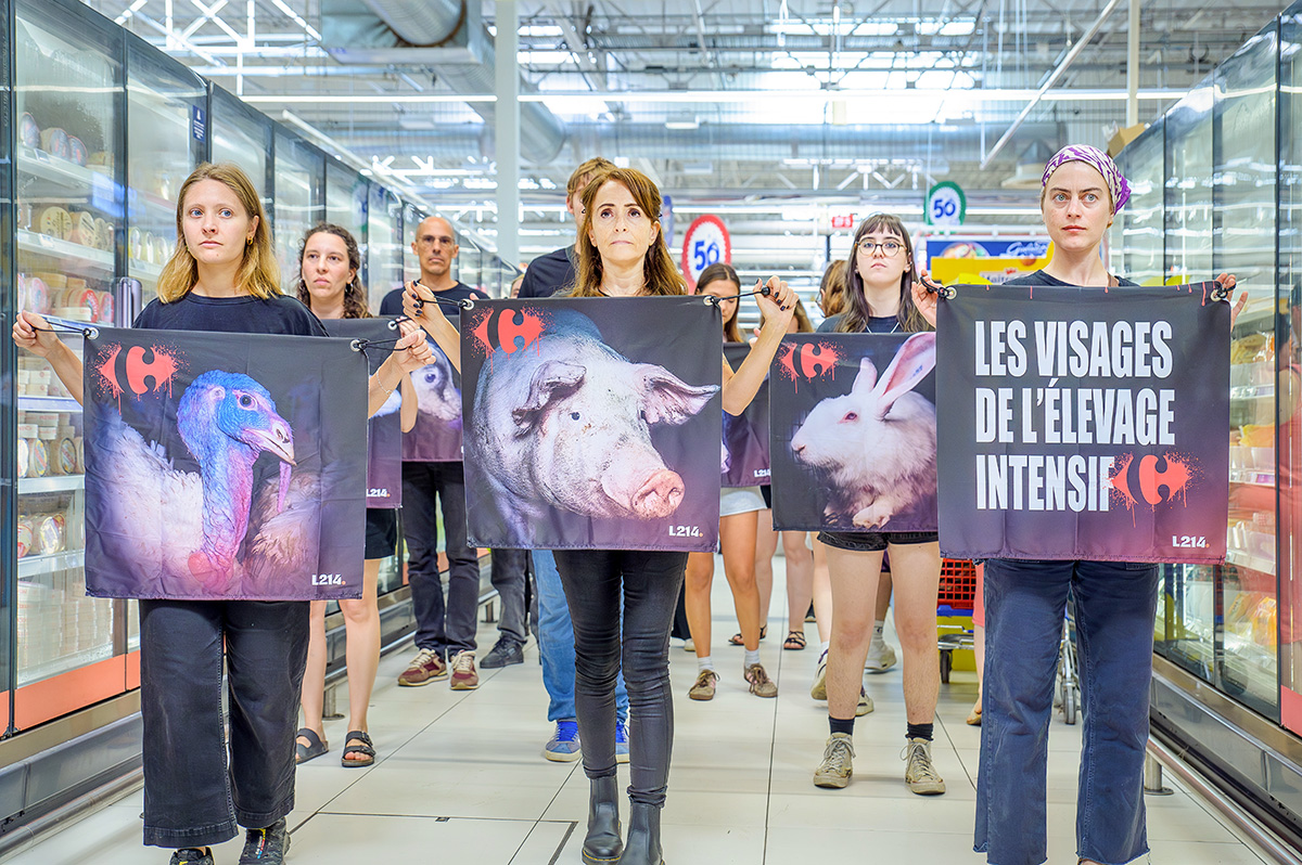 Les visages de l’élevage intensif / Manifestation au sein d’un supermarché Carrefour (2026). Photo L214